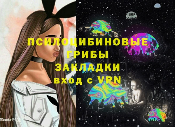 apvp Алзамай