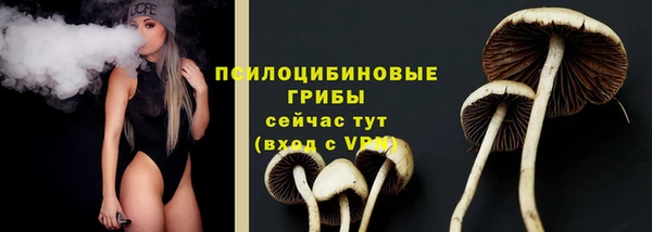 ПСИЛОЦИБИНОВЫЕ ГРИБЫ Абинск
